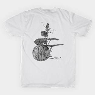 Pumpkin T-Shirt